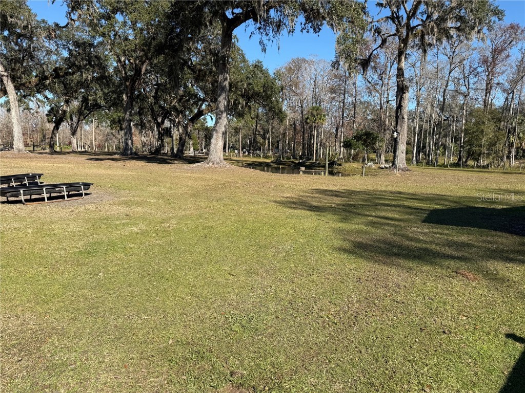 2403 County Road 416n Lake Panasoffkee FL 33538 - POND G5091476 image99