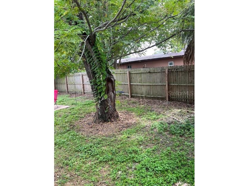2403 Durham Street #1 Tampa FL 33605 TB8501020 image19