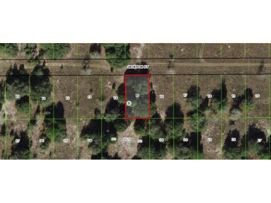 2403 Jackson Street Inverness FL 34453 C7514516 image1