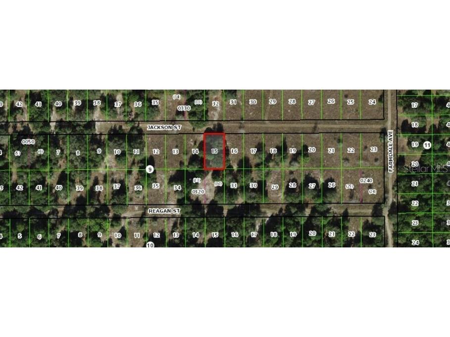 2403 Jackson Street Inverness FL 34453 C7514516 image3