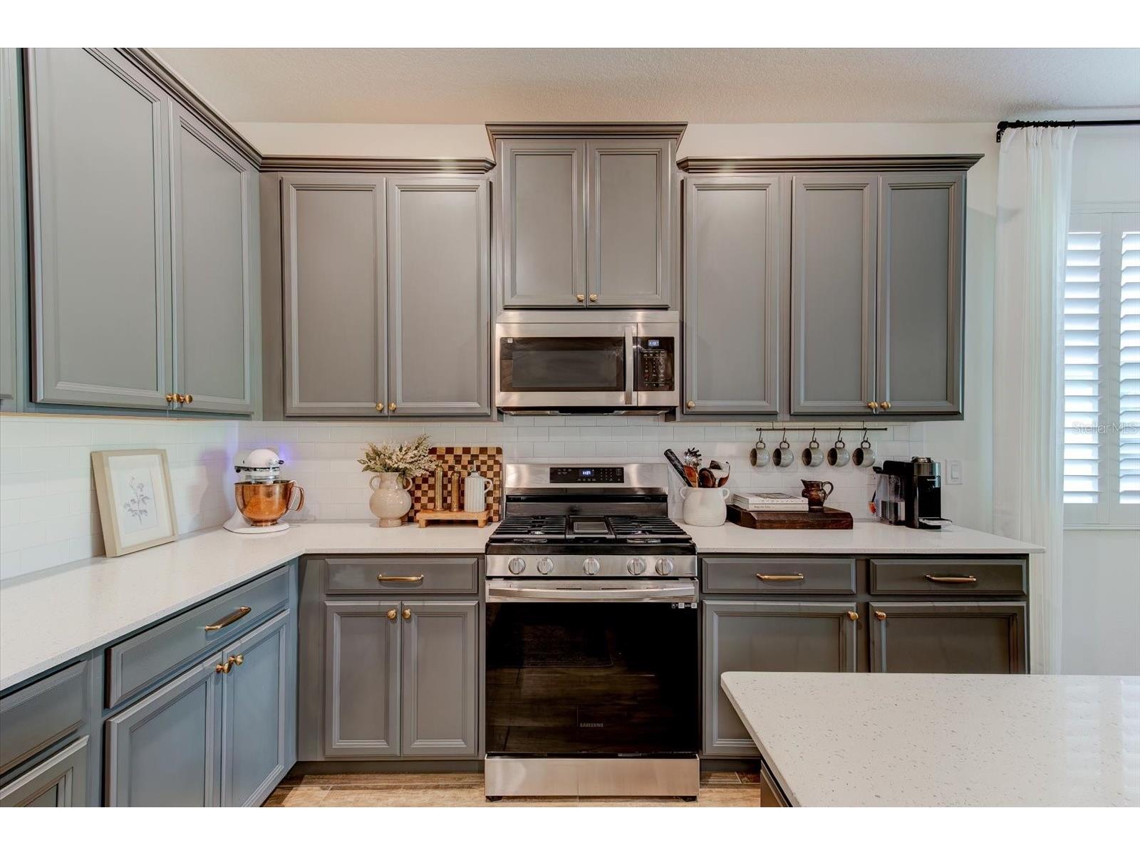 2403 Natoma Boulevard Mount Dora FL 32757 O6417212 image12