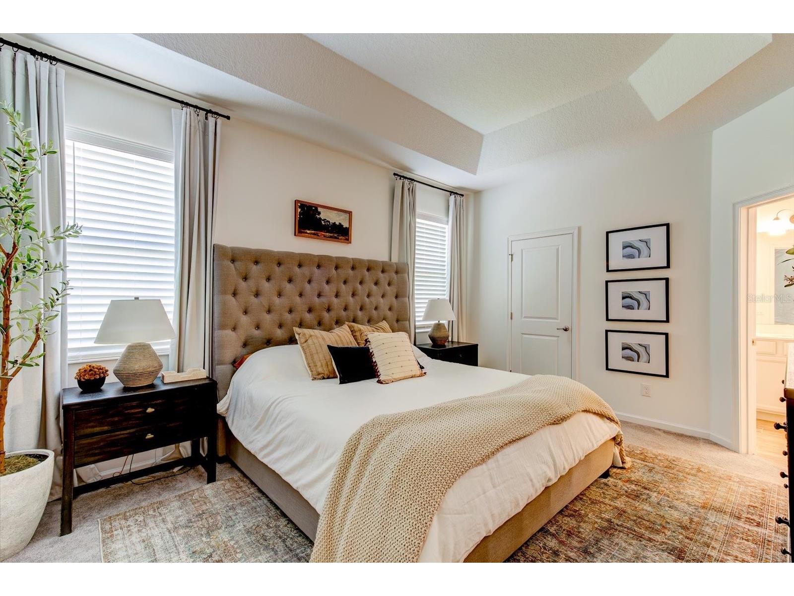 2403 Natoma Boulevard Mount Dora FL 32757 O6417212 image16