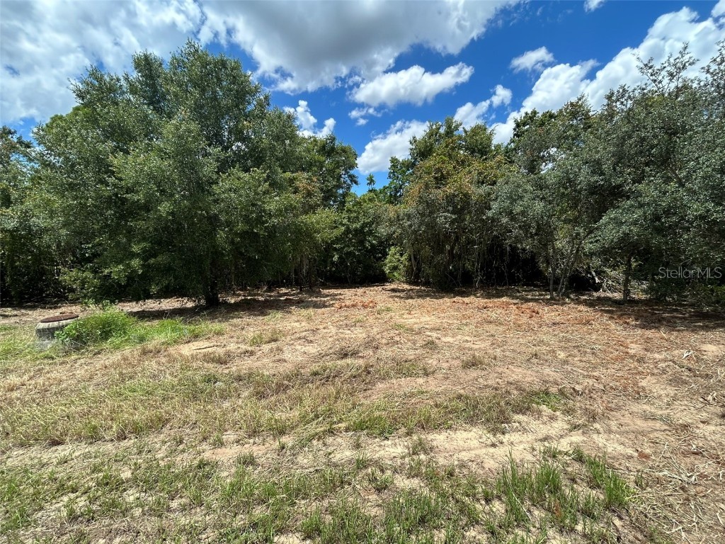 2403 Pecos Lane Poinciana FL 34759 O6225259 image1