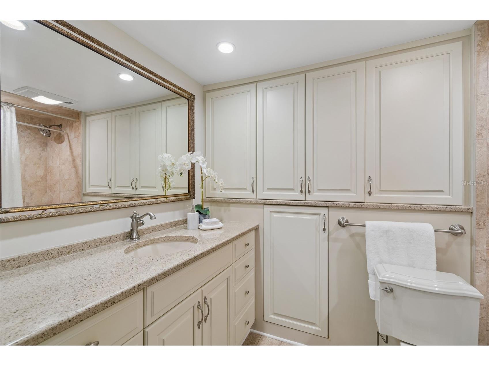 2403 S Ardson Place #902B Tampa FL 33629 TB8529124 image35