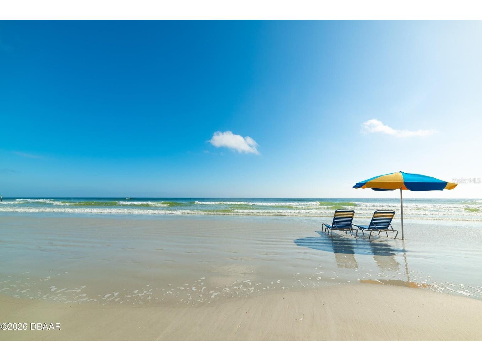 2403 S Atlantic Avenue #309 Daytona Beach FL 32118 FC315377 image54