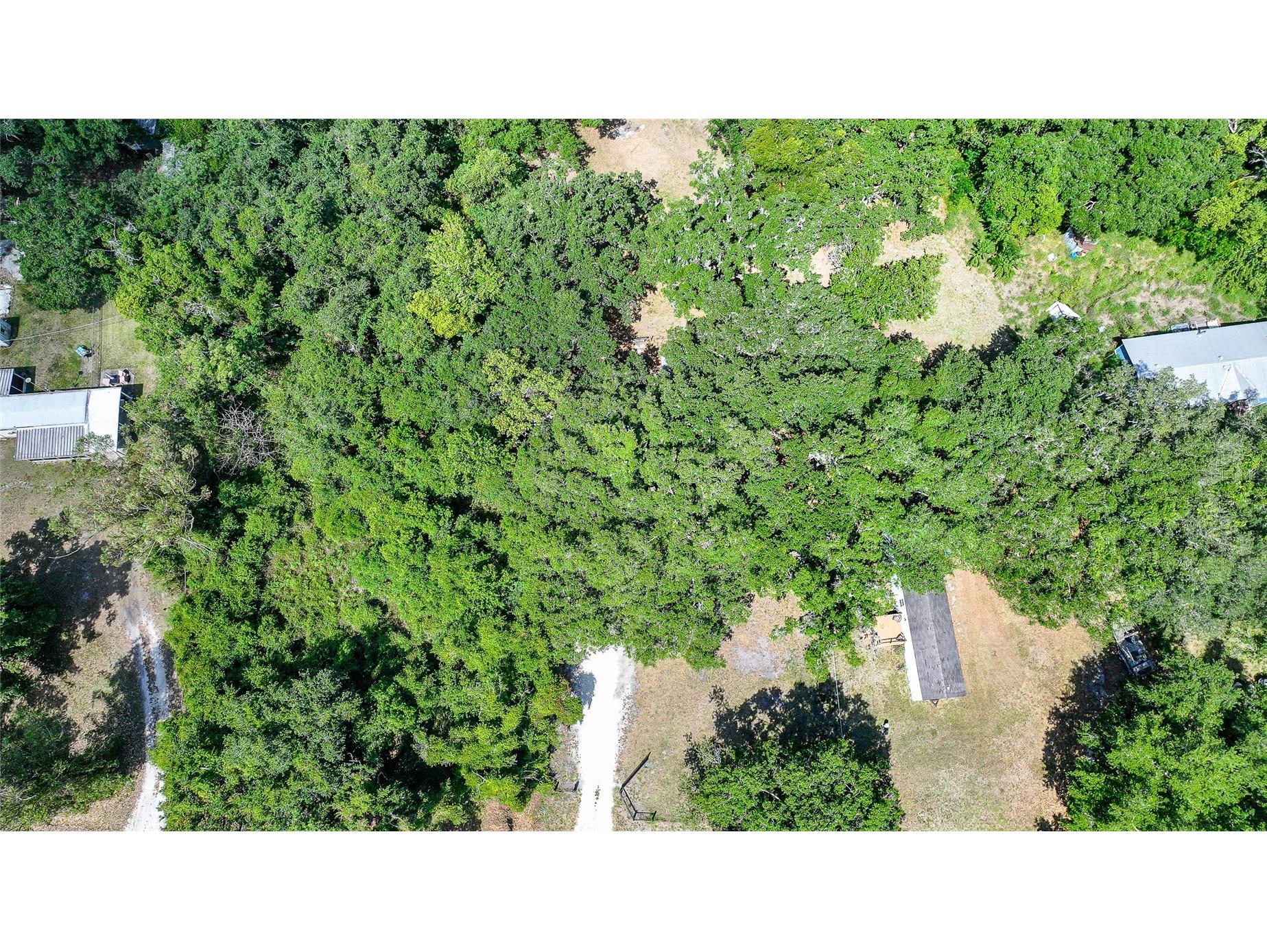 2403 SE Pointer Avenue Arcadia FL 34266 C7525175 image30