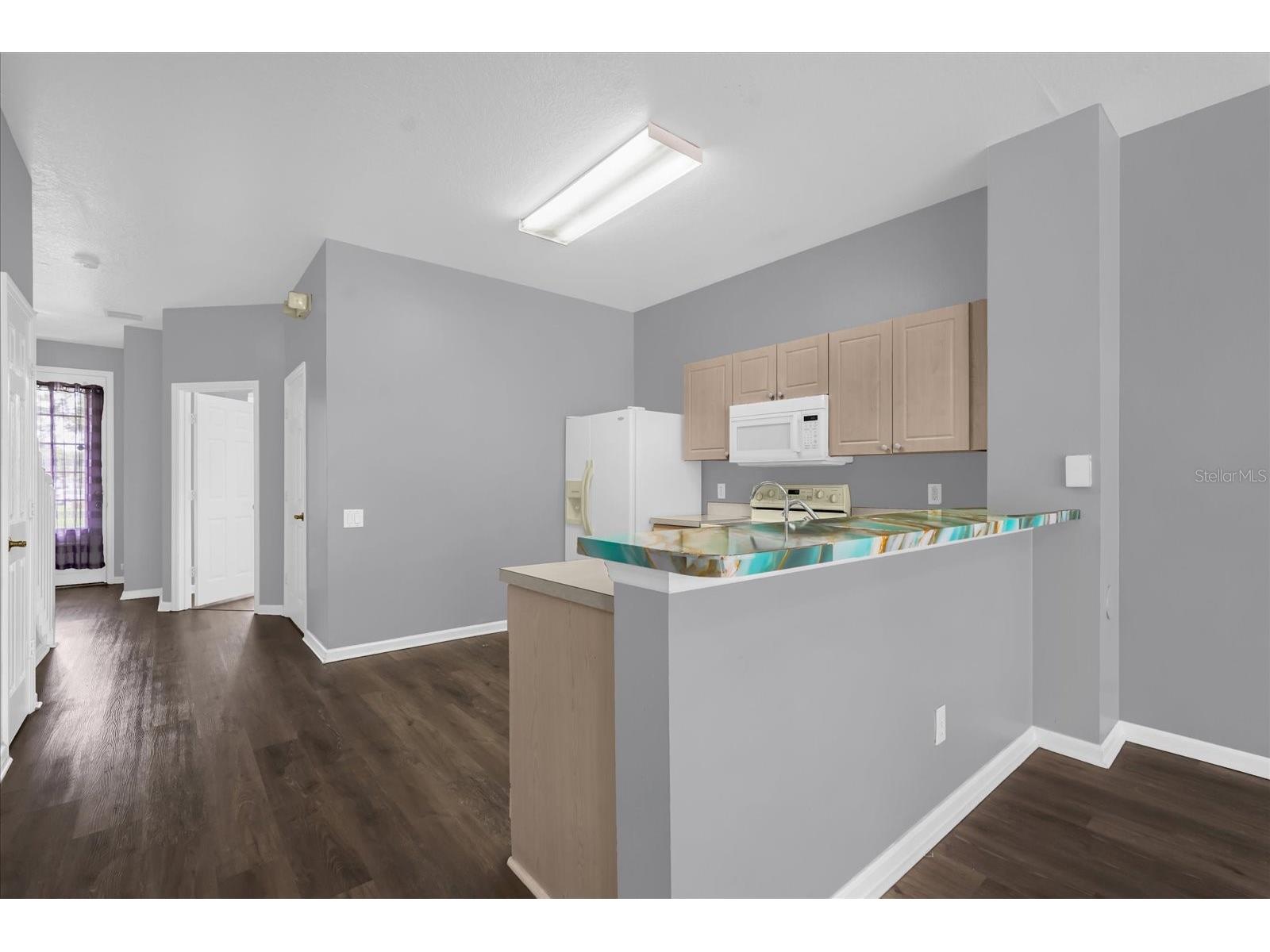 2403 Silver Palm Drive Kissimmee FL 34747 S5149029 image7