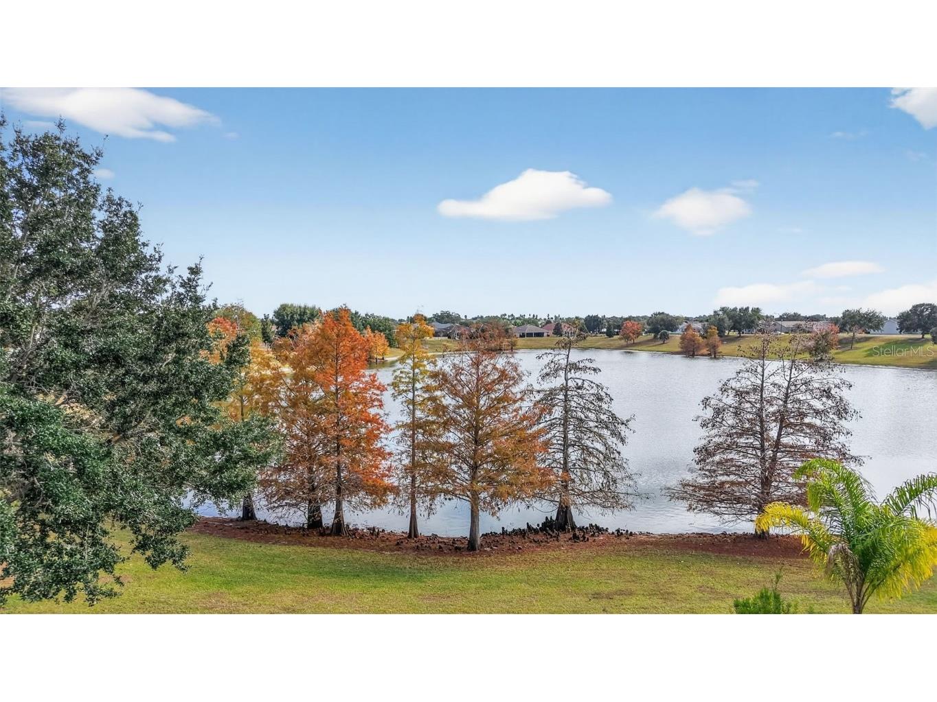 2403 St George Avenue The Villages FL 32162 G5105582 image3