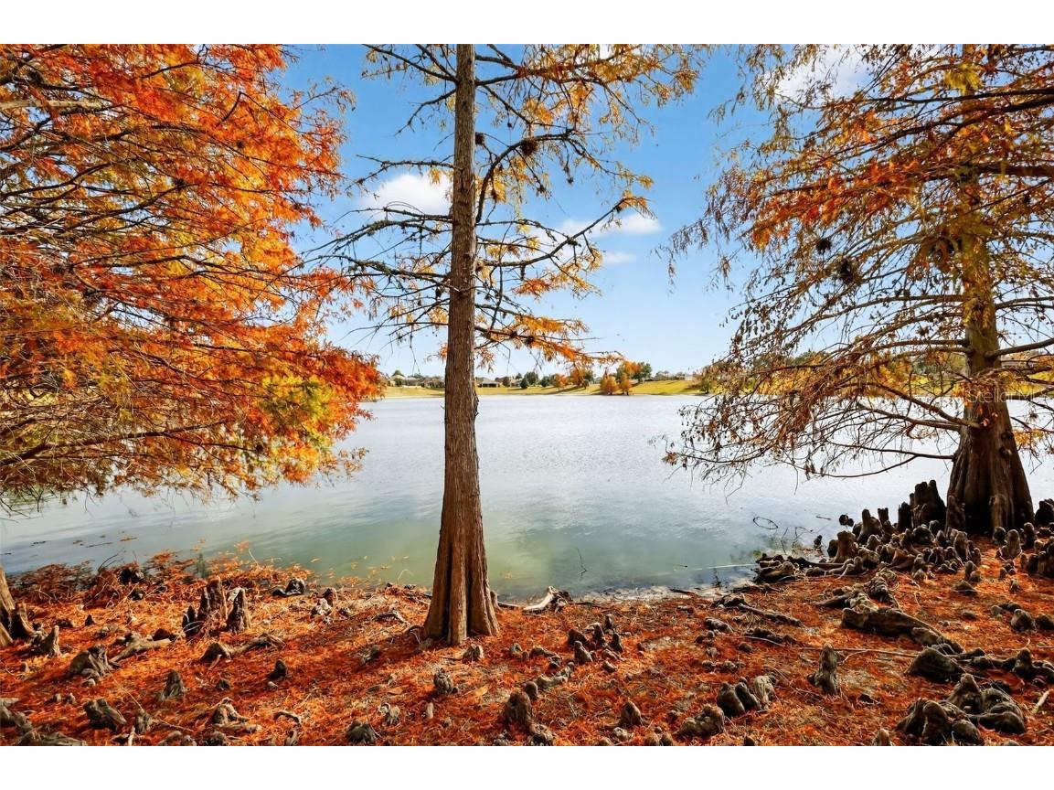 2403 St George Avenue The Villages FL 32162 G5105582 image37