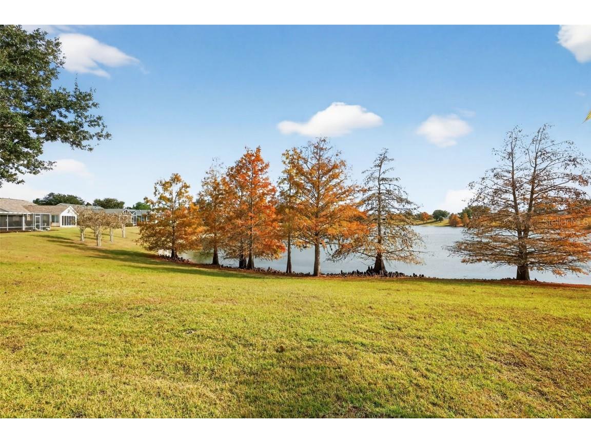 2403 St George Avenue The Villages FL 32162 G5105582 image38