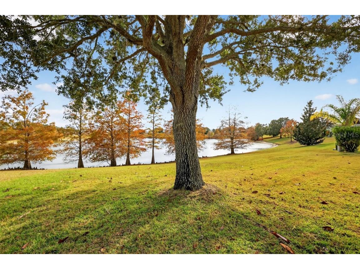 2403 St George Avenue The Villages FL 32162 G5105582 image39