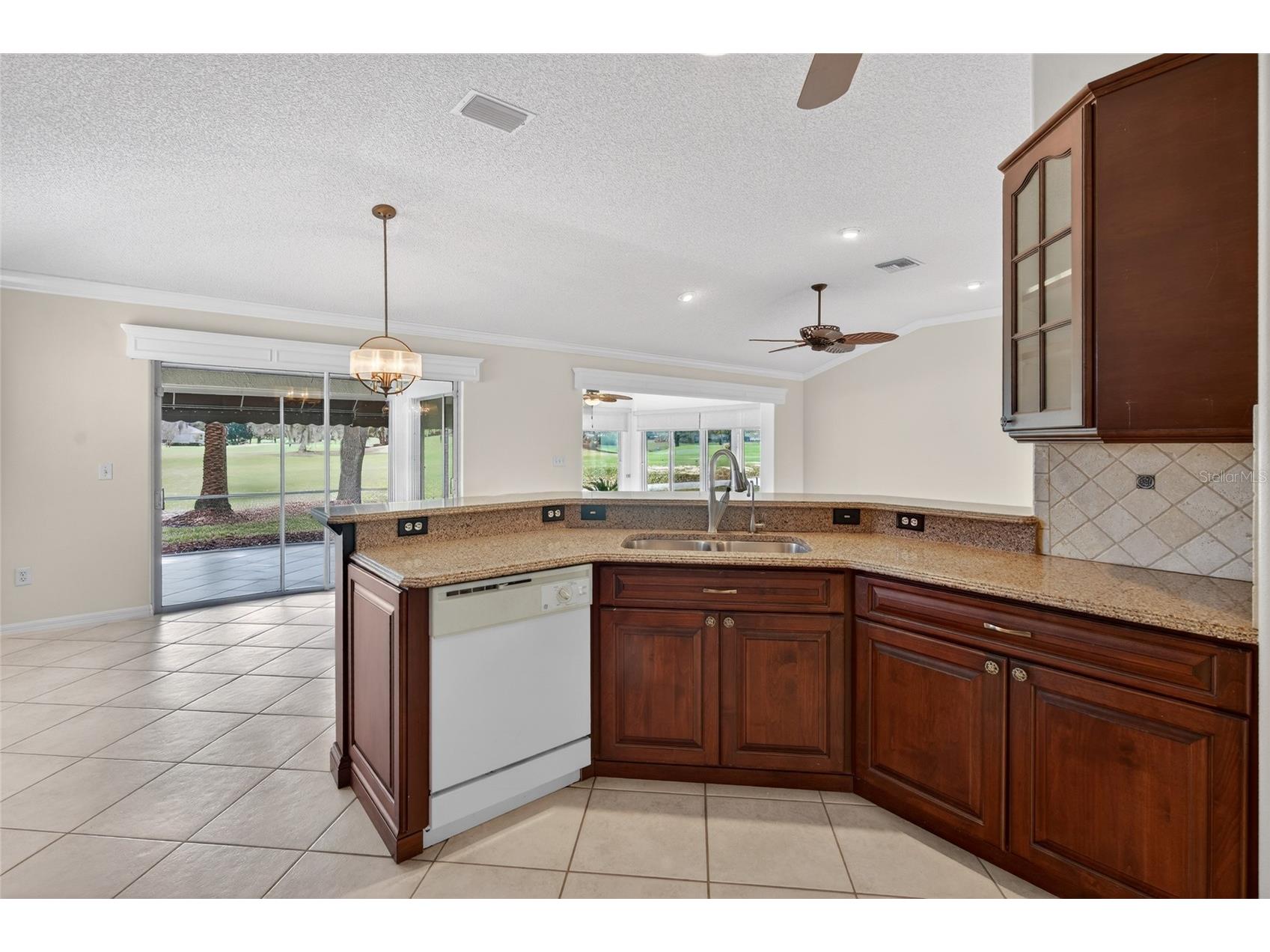 2403 Tamarindo Drive The Villages FL 32162 R4910856 image13