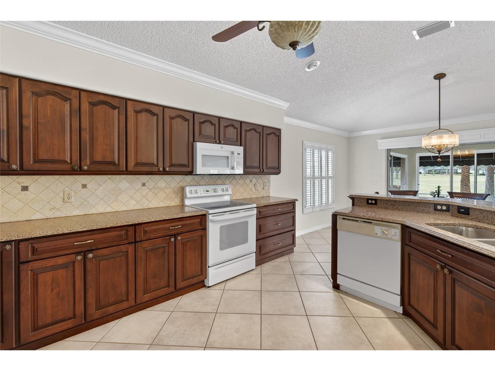 2403 Tamarindo Drive The Villages FL 32162 R4910856 image14