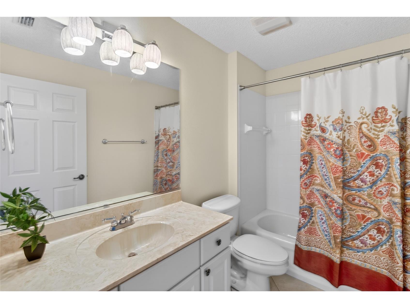 2403 Tamarindo Drive The Villages FL 32162 R4910856 image34