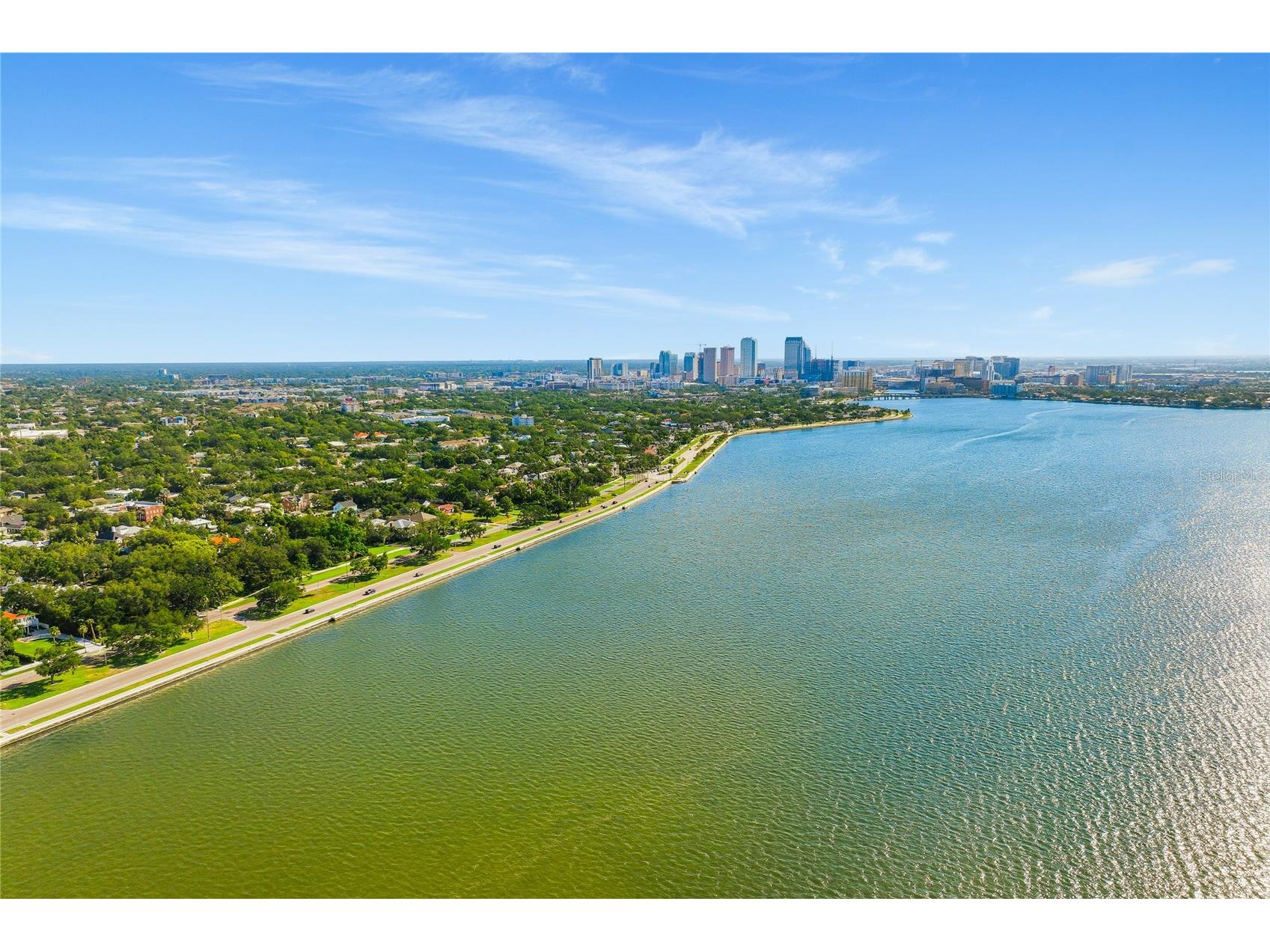 2403 W Palm Drive #2 Tampa FL 33629 O6413548 image37