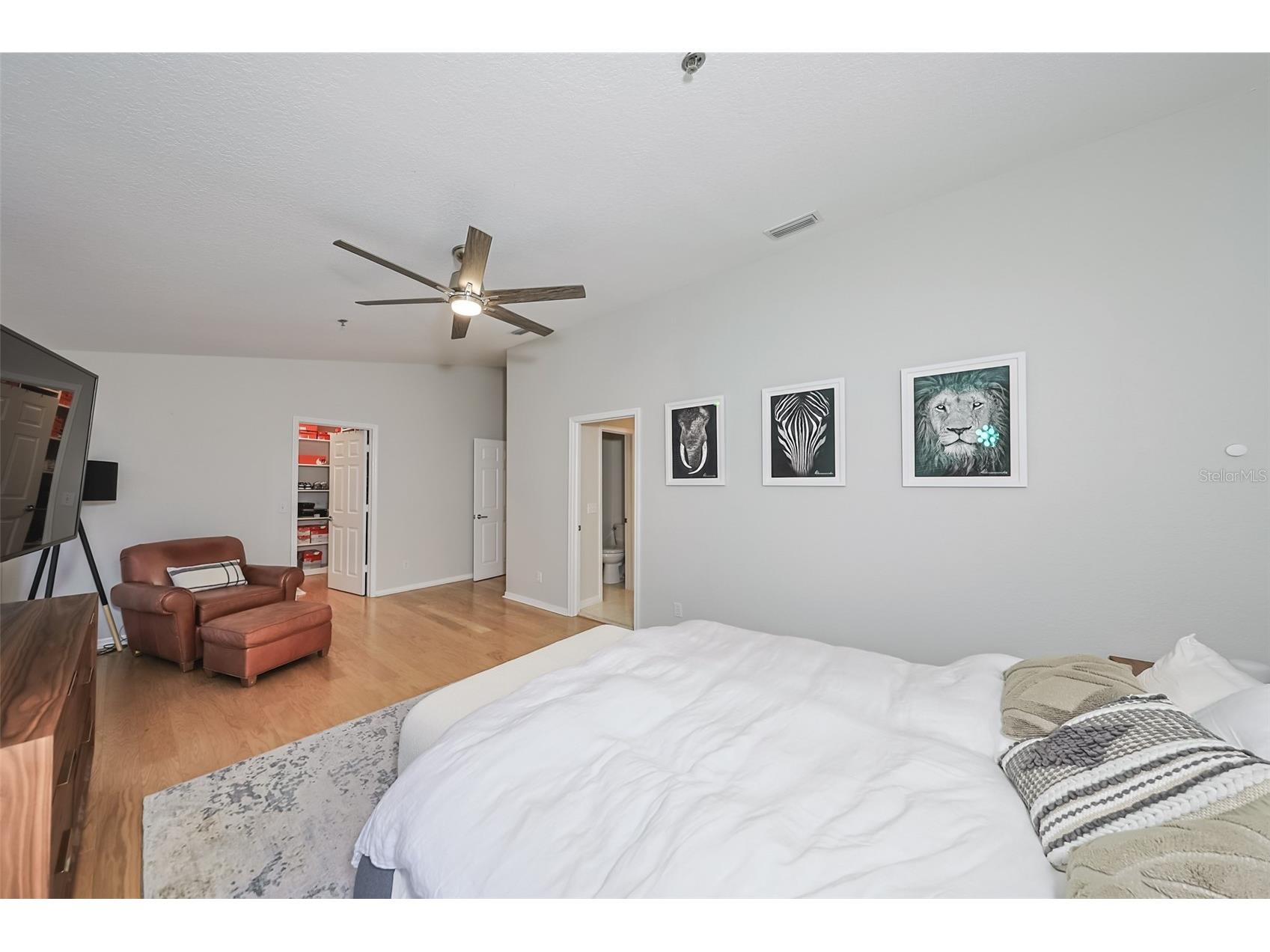 2403 W Palm Drive #2 Tampa FL 33629 TB8442741 image21