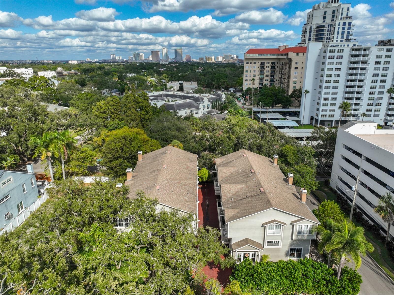2403 W Palm Drive #2 Tampa FL 33629 TB8442741 image39