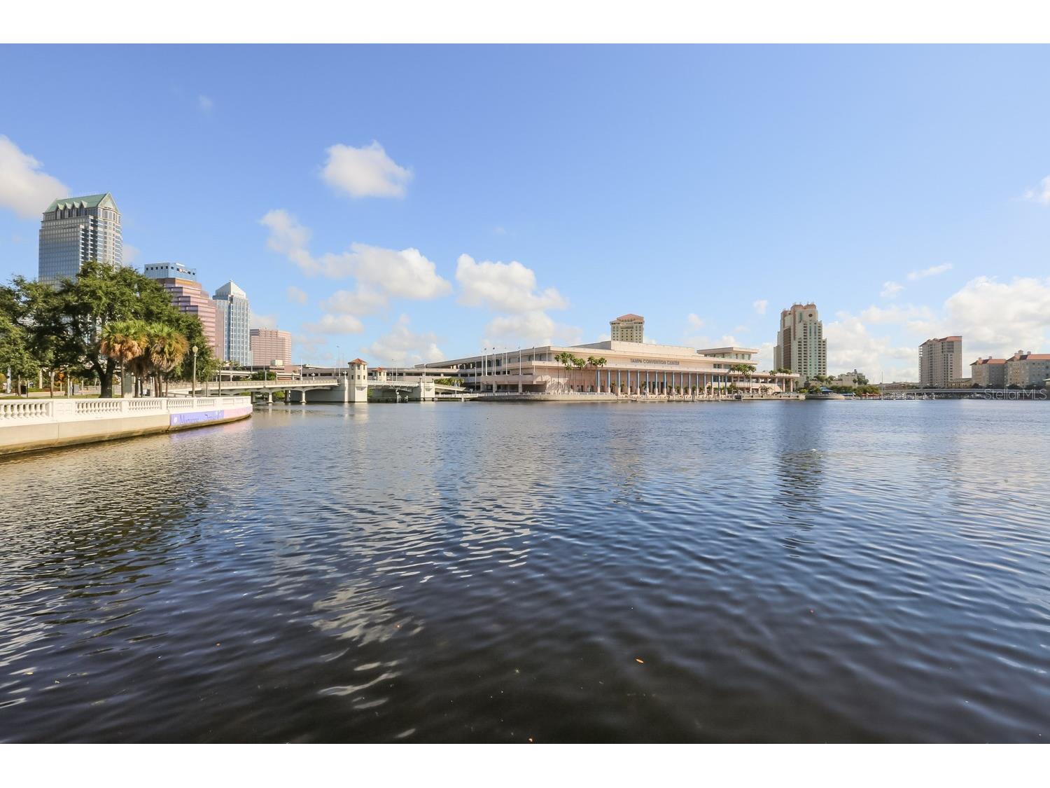 2403 W Palm Drive #2 Tampa FL 33629 TB8442741 image46
