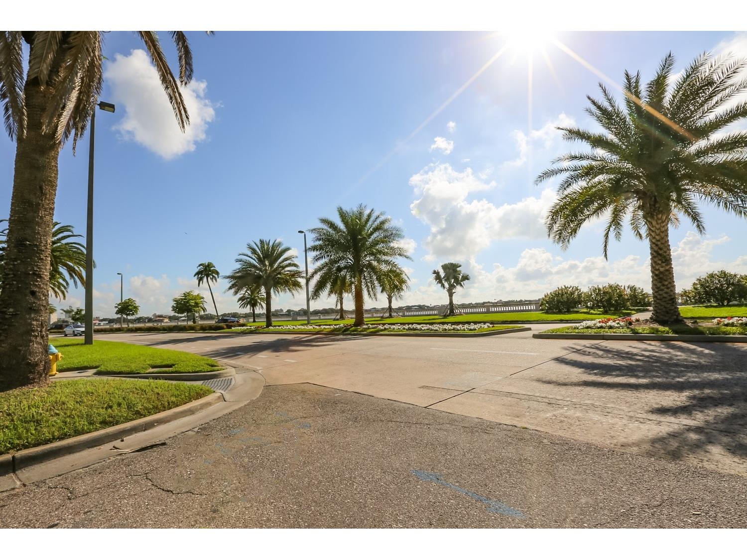 2403 W Palm Drive #2 Tampa FL 33629 TB8442741 image47