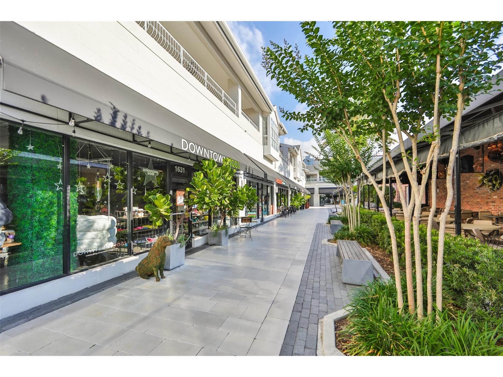 2403 W Palm Drive #2 Tampa FL 33629 TB8442741 image48