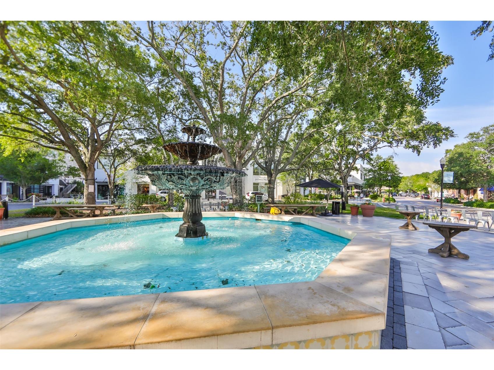 2403 W Palm Drive #2 Tampa FL 33629 TB8442741 image51