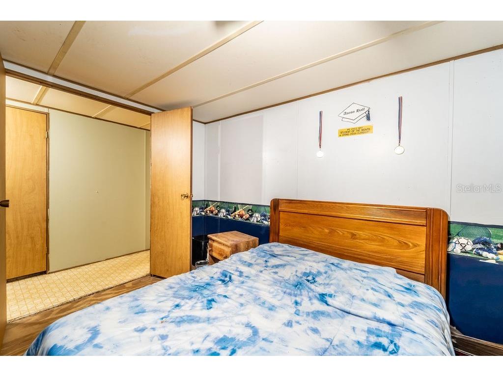 24031 Armadillo Road Astor FL 32102 V4944768 image27