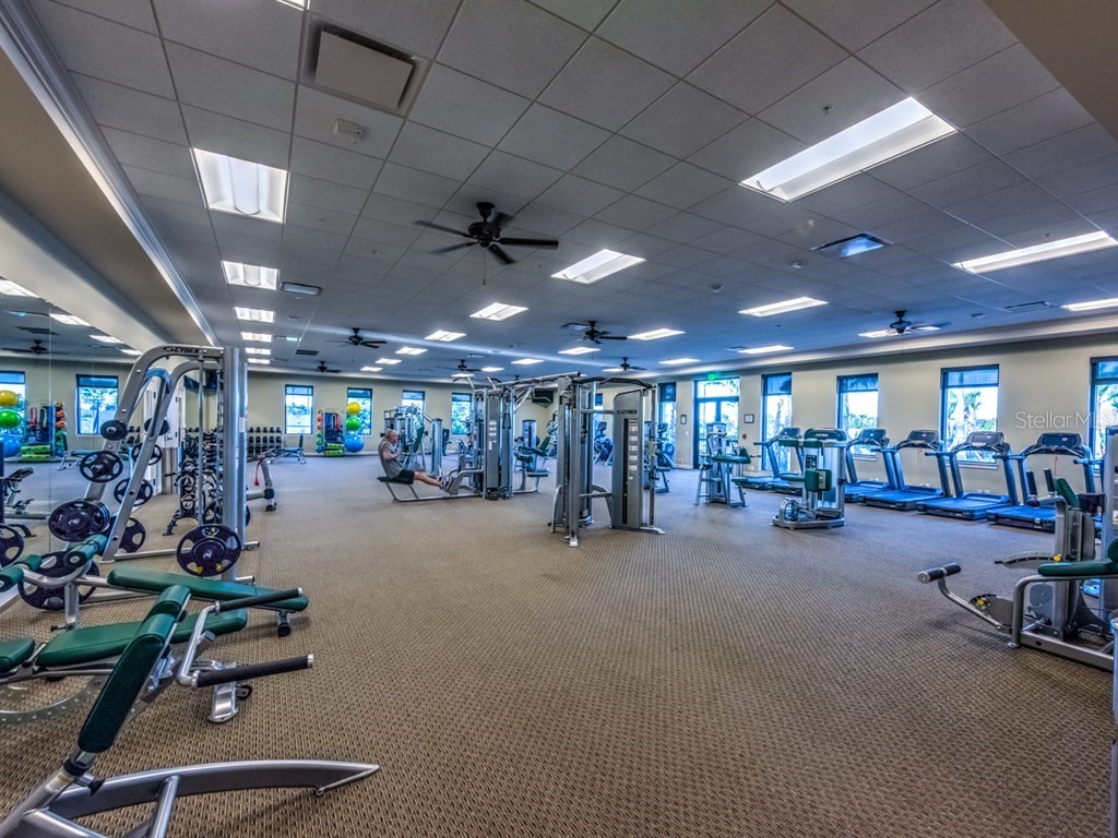 24036 Spartina Drive Venice FL 34293 N6137508 image36