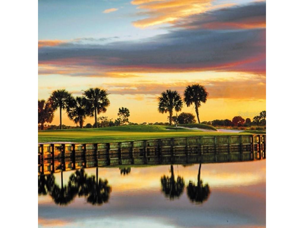 24036 Spartina Drive Venice FL 34293 N6137508 image37