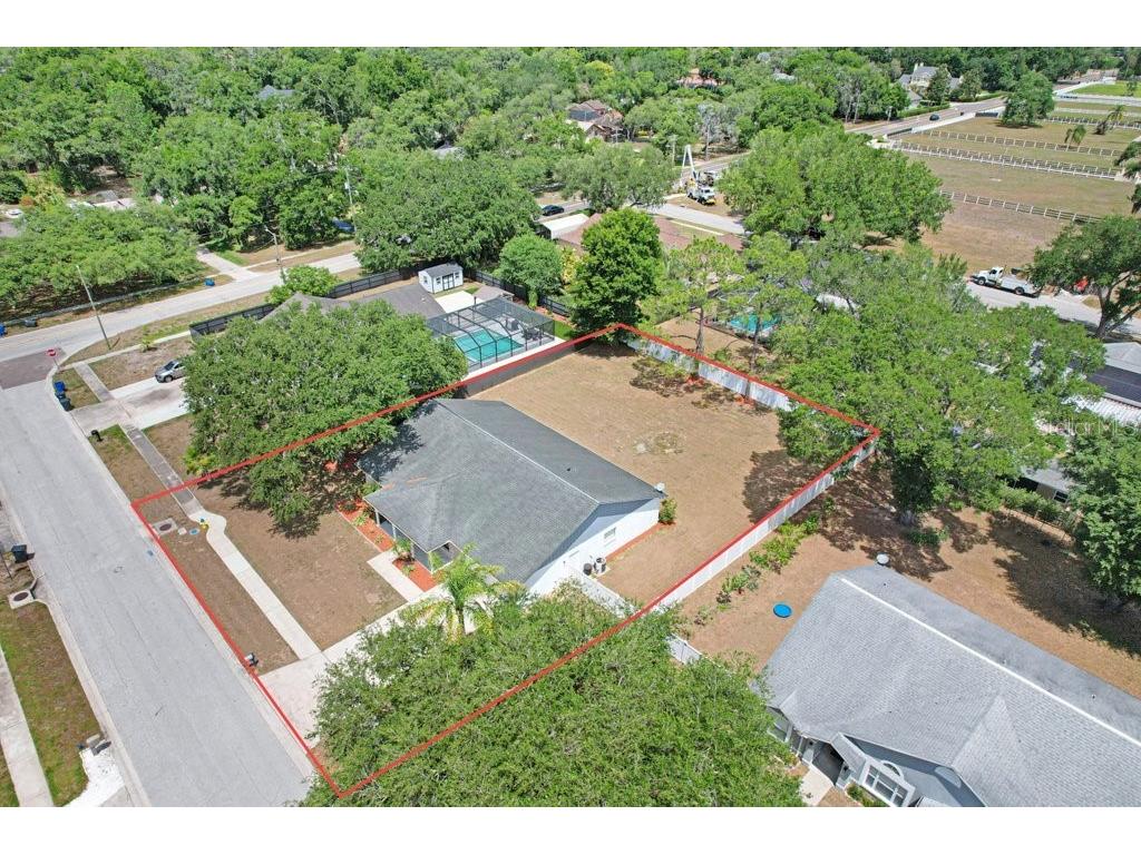 2404 Buckhorn Manor Drive Valrico FL 33594 TB8504011 image3