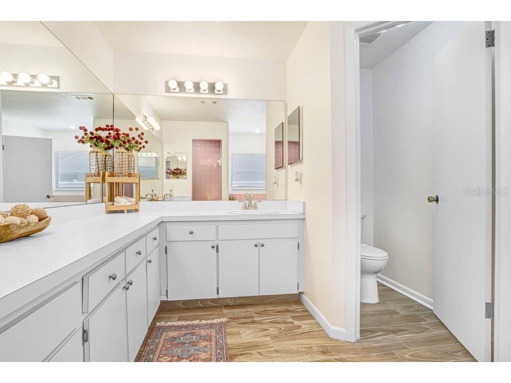 2404 Buckhorn Manor Drive Valrico FL 33594 TB8504011 image35