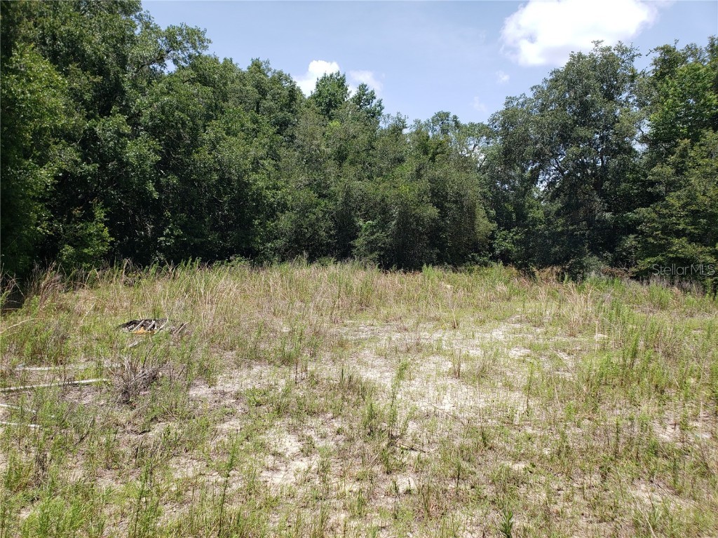 2404 Jackson Street Inverness FL 34453 OM632998 image1