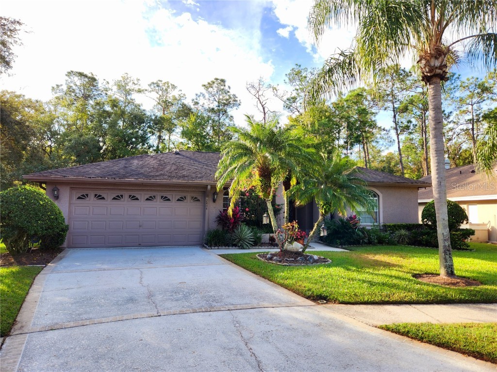 2404 Saddlewood Lane Palm Harbor FL 34685 T3479281 image1
