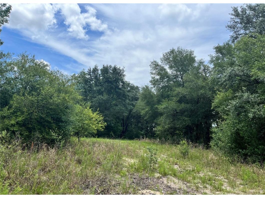 2404 Tyler Street Inverness FL 34453 OM659595 image1