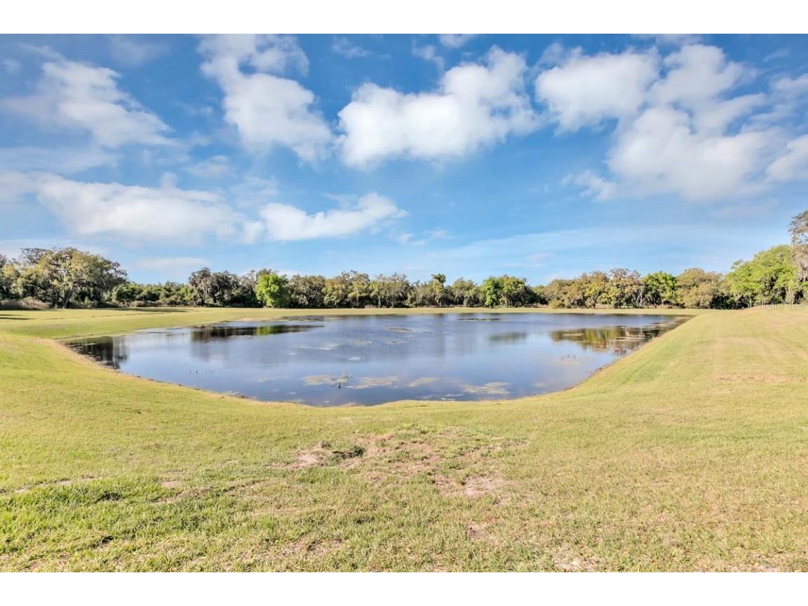 2404 Volunteer Avenue Kissimmee FL 34744 O6366290 image14