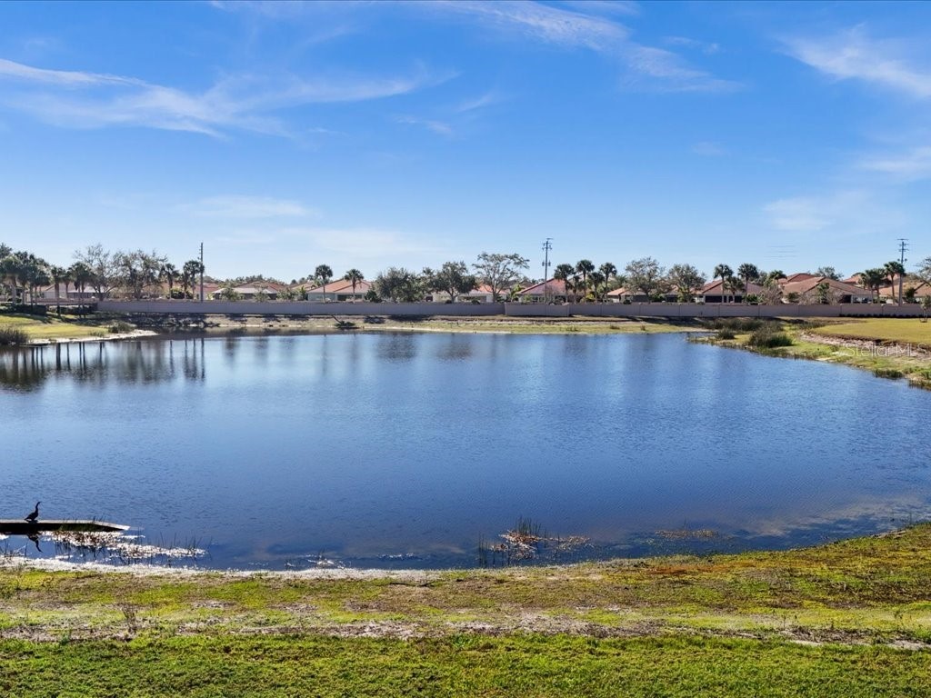 24040 Canal Street Punta Gorda FL 33980 C7519593 image37