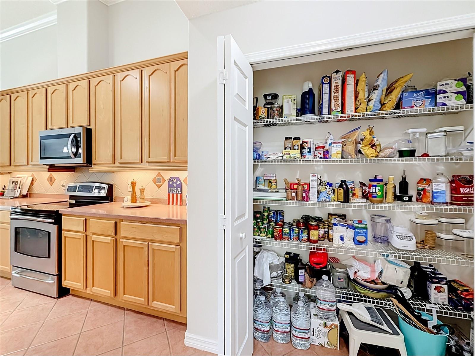 24044 Peekskill Street Leesburg FL 34748 G5114627 image26