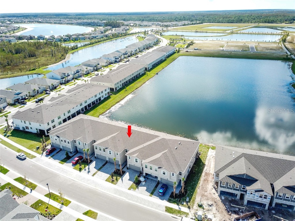 2405 Arbor Wind Drive Lutz FL 33558 U8232129 image1