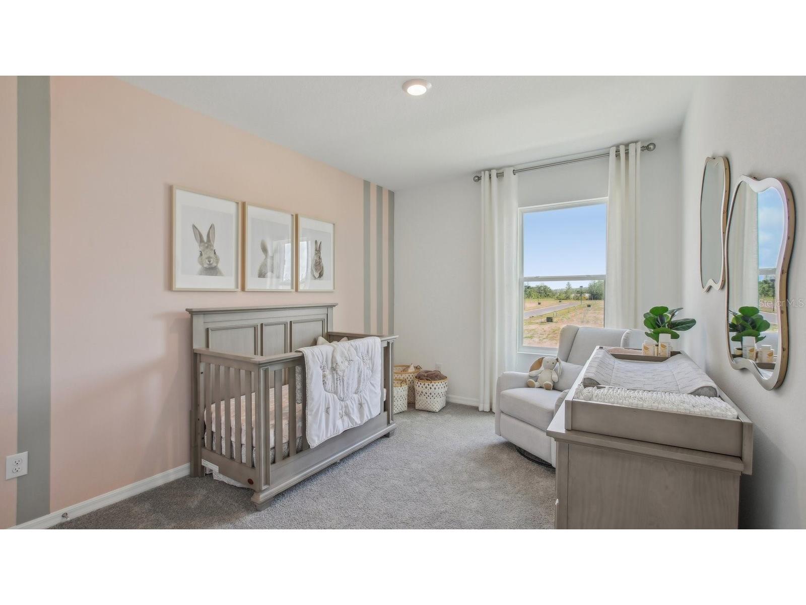 2405 Bender Drive Zephyrhills FL 33541 TB8497677 image19