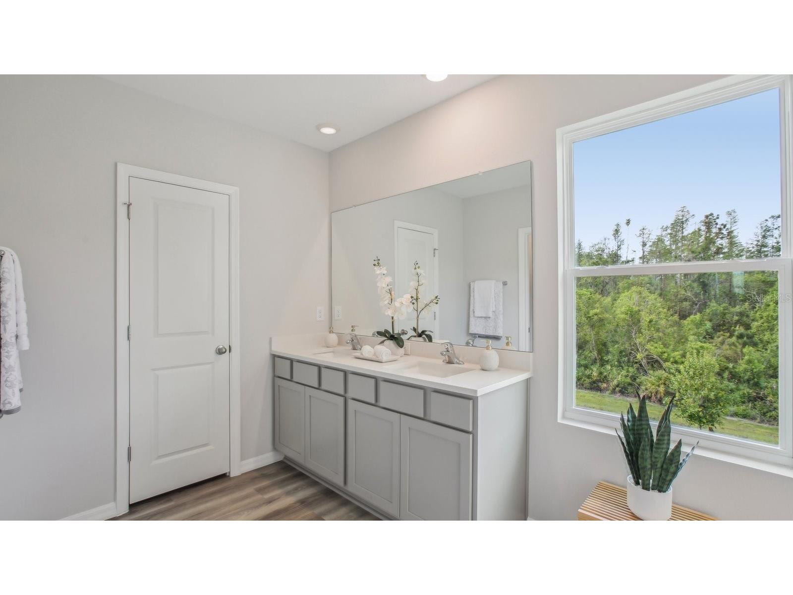 2405 Bender Drive Zephyrhills FL 33541 TB8497677 image29