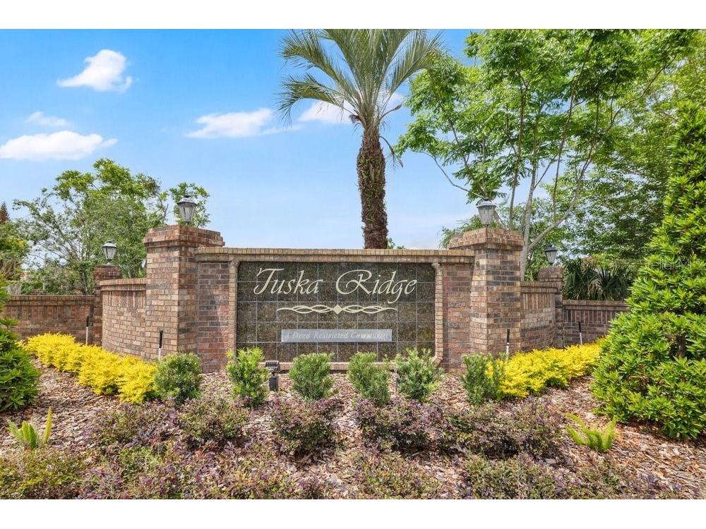 2405 Blossomwood Drive Oviedo FL 32765 O6410387 image42