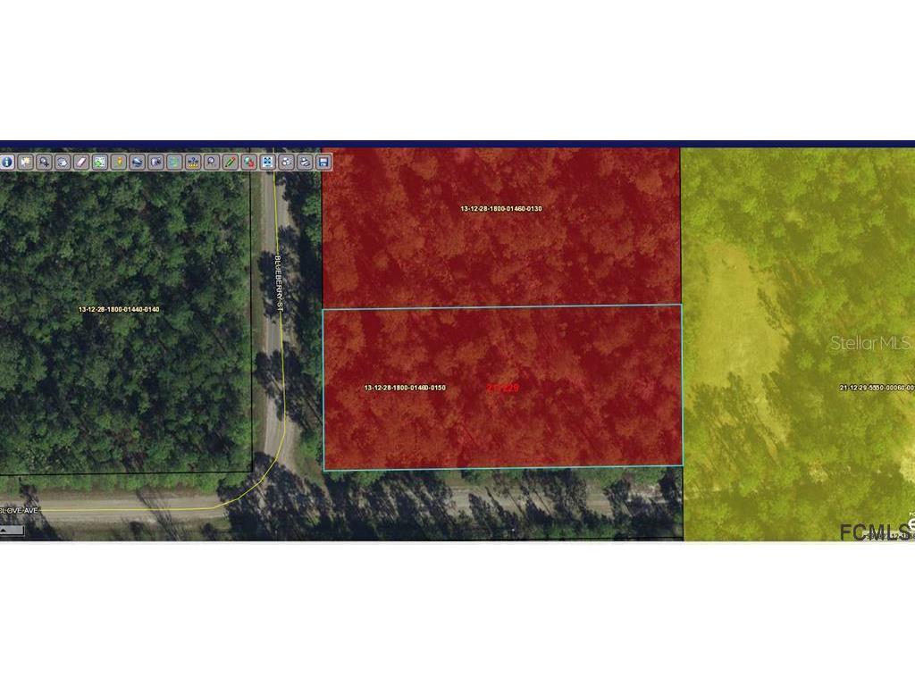 2405 Blueberry Street Bunnell FL 32110 FC276084 image2