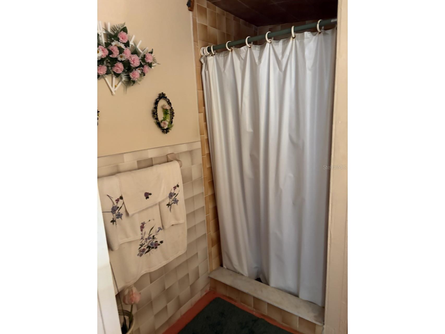 2405 Corrine Street Tampa FL 33605 TB8492206 image21