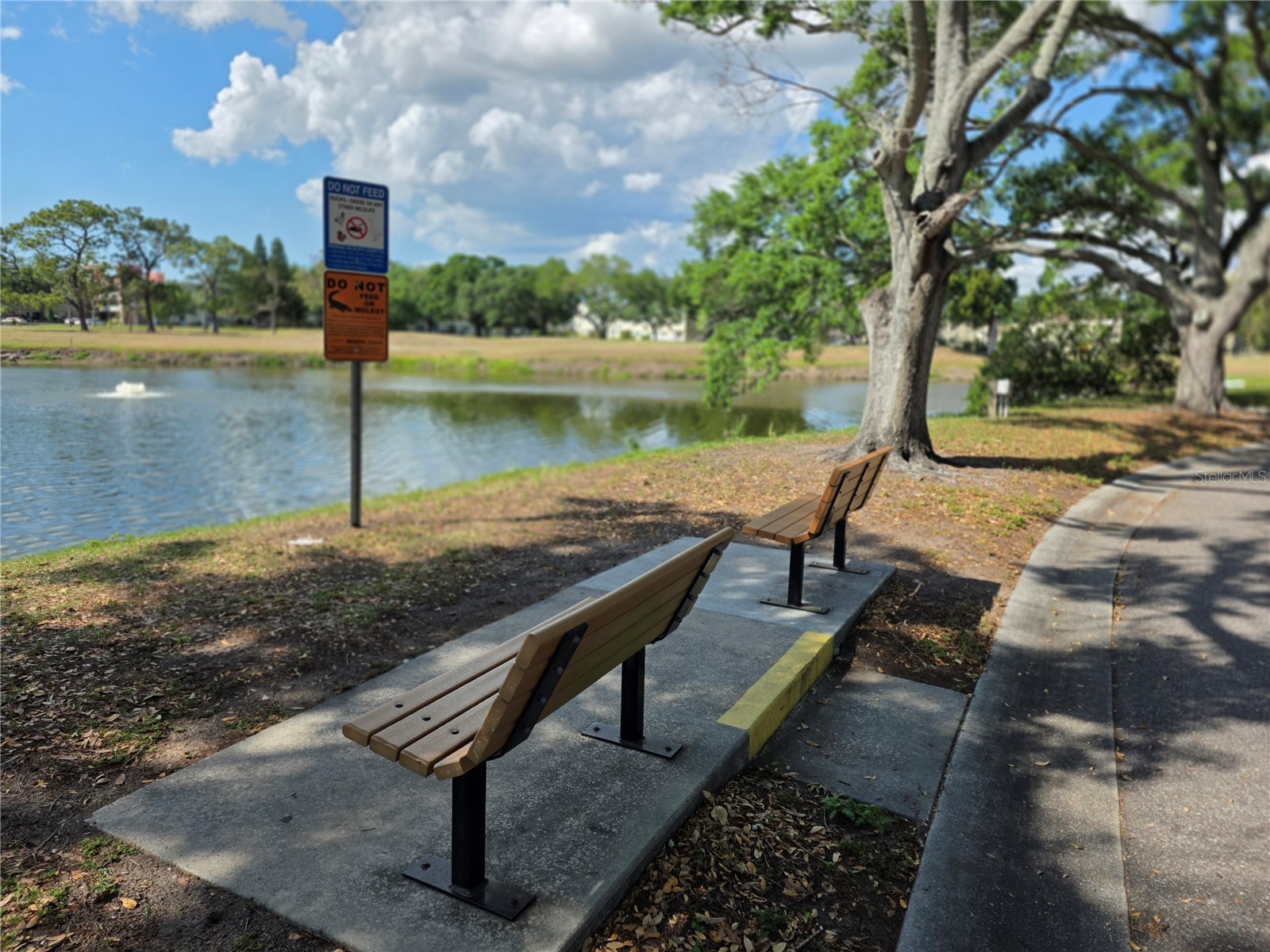 2405 Franciscan Drive #11 Clearwater FL 33763 TB8493877 image26