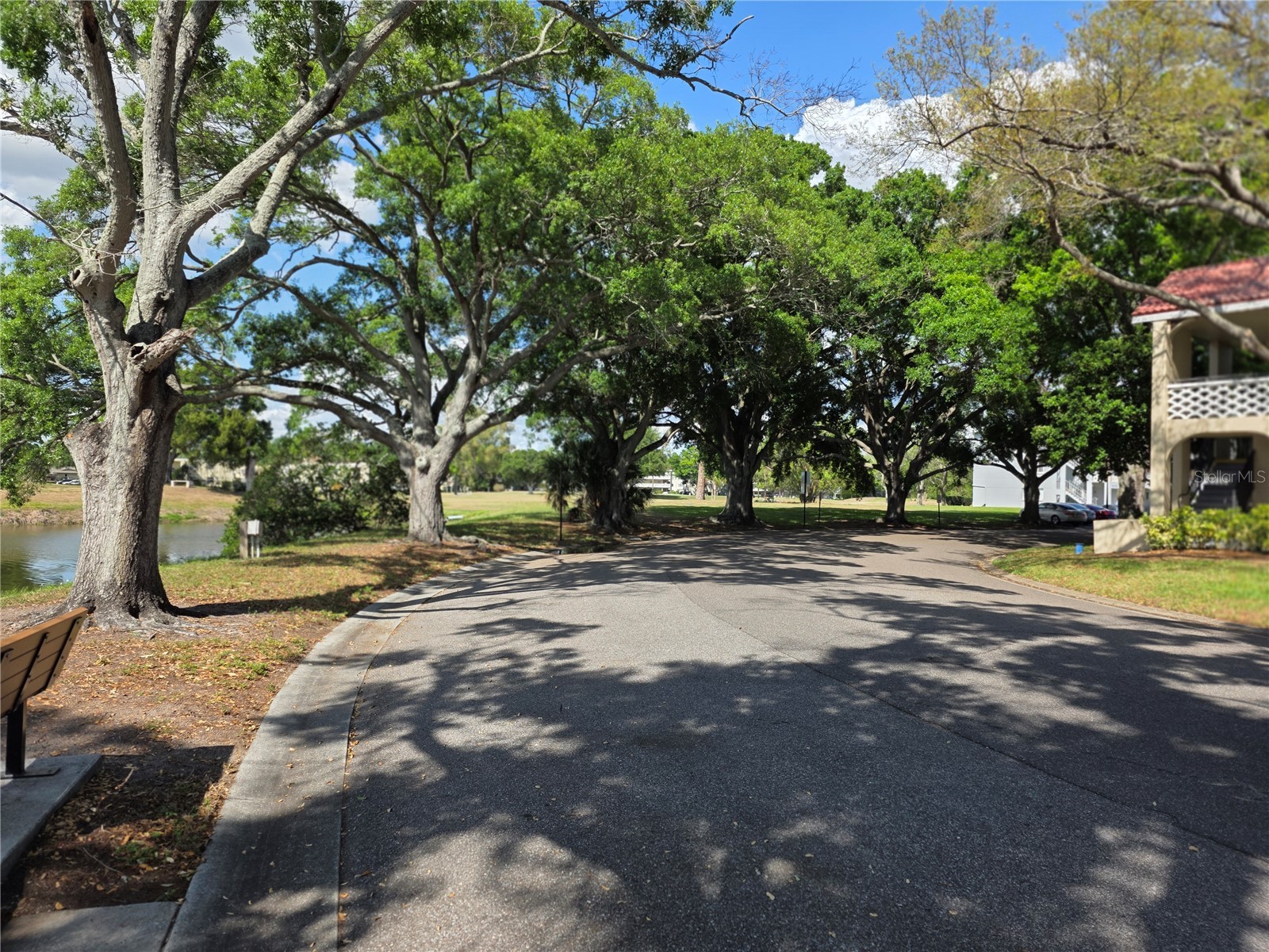 2405 Franciscan Drive #11 Clearwater FL 33763 TB8493877 image27