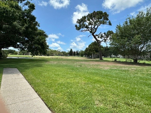 2405 Franciscan Drive #23 Clearwater FL 33763 TB8513767 image24