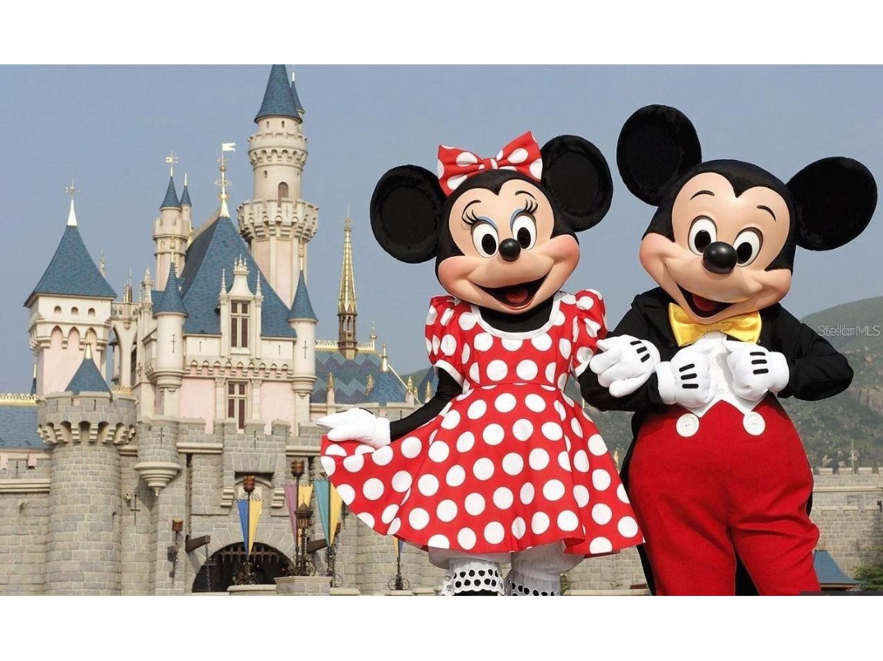 2405 New Haven Circle Sun City Center FL 33573 TB8426271 image62