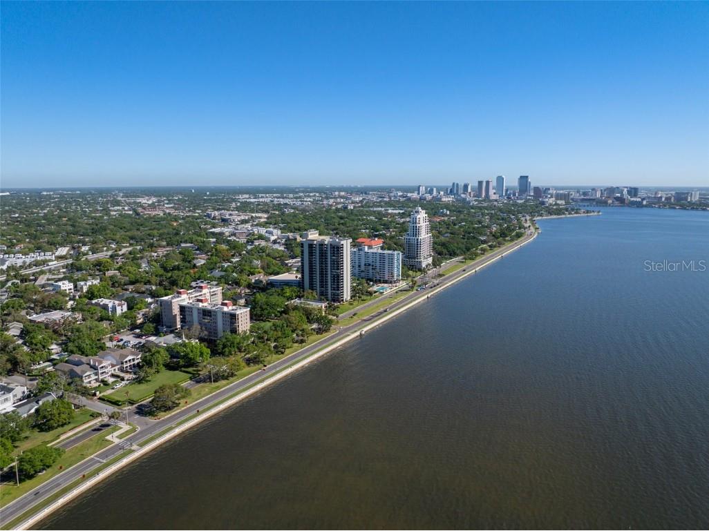 2405 S Ardson Place #303A Tampa FL 33629 TB8355711 image21