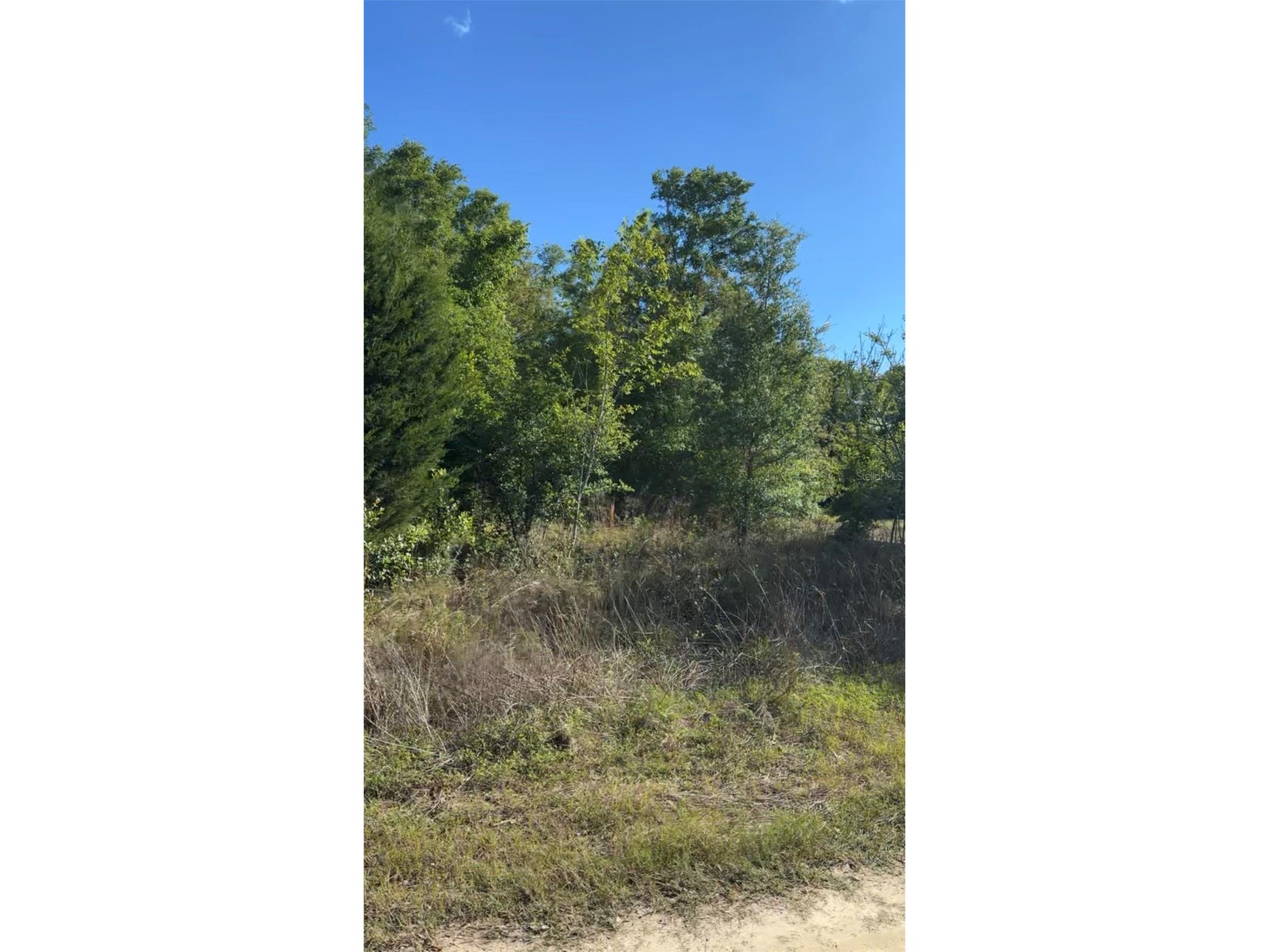 2405 Wilson St Street Inverness FL 34453 TB8506536 image1