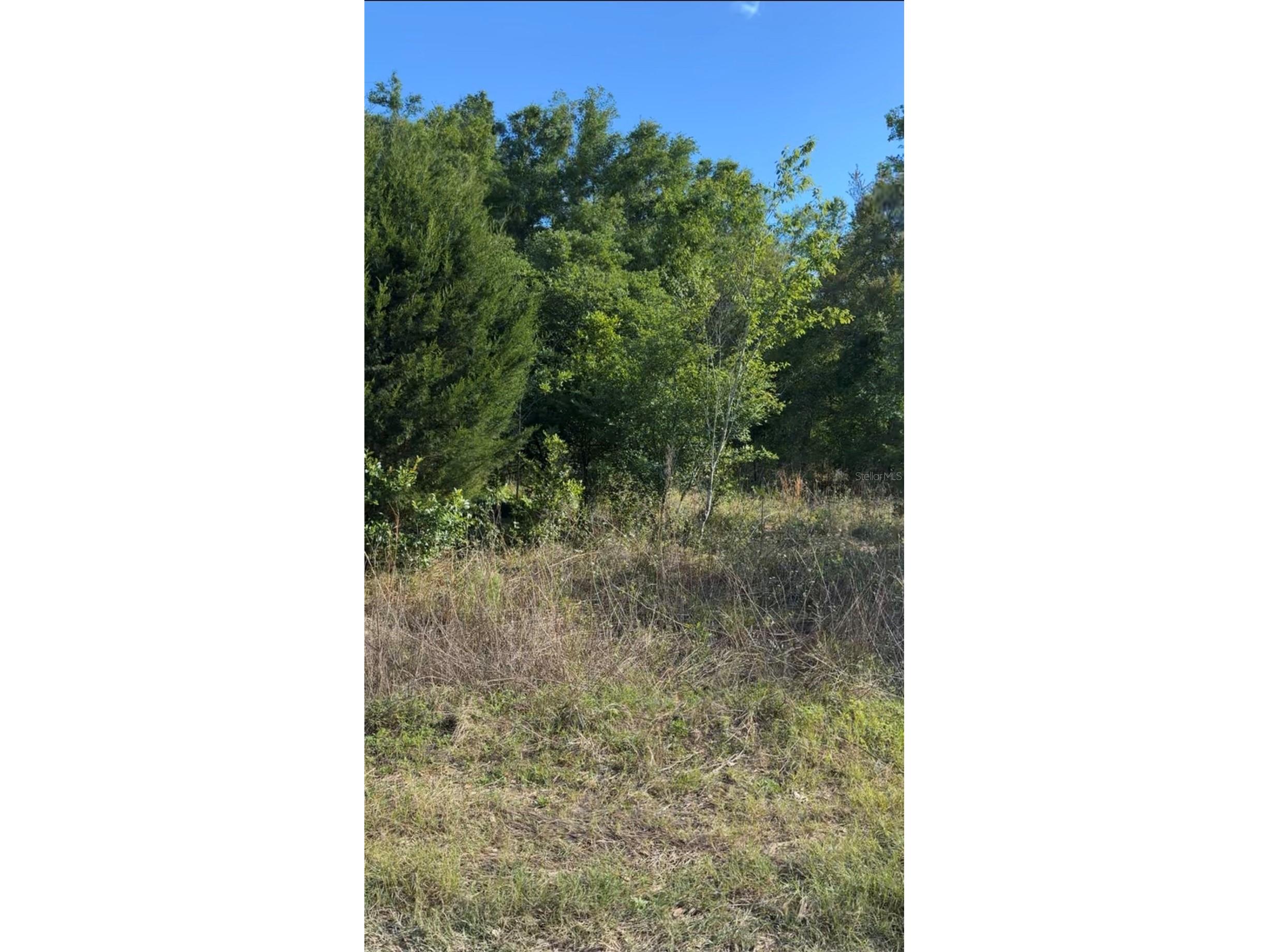 2405 Wilson St Street Inverness FL 34453 TB8506536 image2
