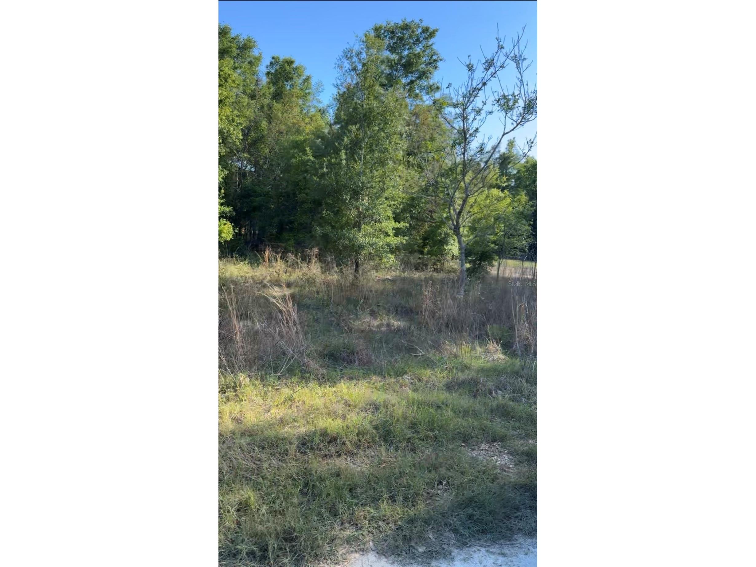 2405 Wilson St Street Inverness FL 34453 TB8506536 image3
